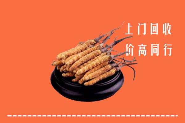 高价求购：呼和浩特回收散虫草