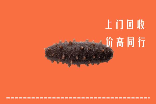 高价求购：呼和浩特回收海参
