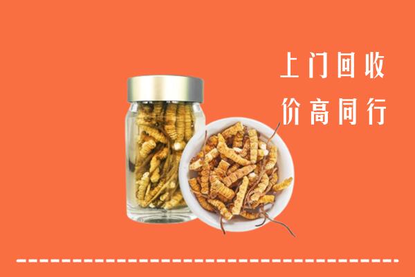 呼和浩特回收冬虫夏草